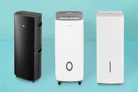 Best Dehumidifier Recommendations