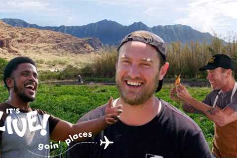 Brad Goes Farming in Hawaii | It''''s Alive: Goin'''' Places | Bon Appétit