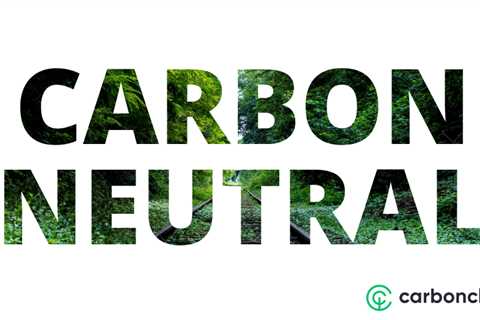 Carbon neutrality: What it means and how your business can get there