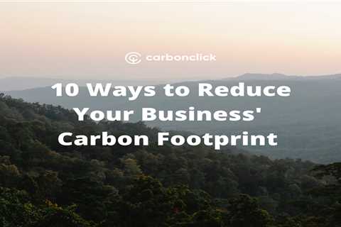 10 Ways to Reduce Your Business Carbon Footprint