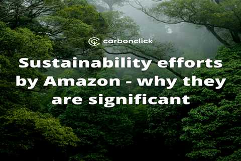 Sustainability efforts by Amazon - why they are significant