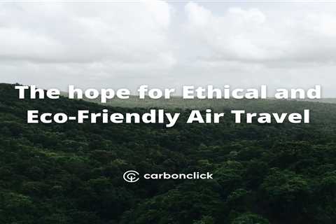 The hope for ethical and eco-friendly air travel