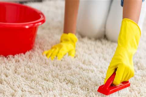 Removing Stains and Odors from Carpets