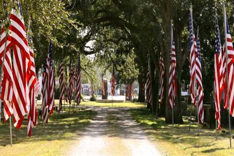 Celebrating Veterans: Louisiana Cultural Events for All