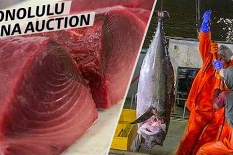 How America''s Only Tuna Auction Is Run — Omakase