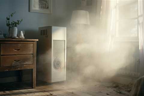 Can Mold be Killed by Dehumidifier?