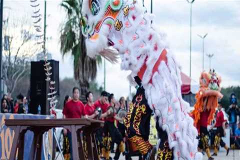 Experience the Vibrant Culture of Harris County, TX through its Festivals