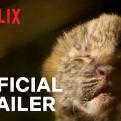 Living with Leopards | Official Trailer | Netflix