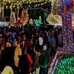 Capture Unique Memories at the Festival of Lights in Colorado Springs