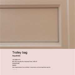 trolley bag