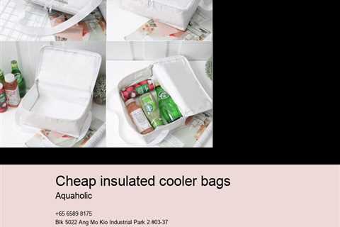 cheap insulated cooler bags