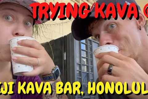 Best Kava in Hawaii? - Fiji Kava Bar Honolulu, Oahu Serves & Exports Kava Worldwide 2022 #hawaii