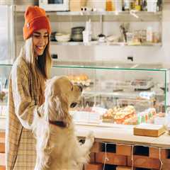 Exploring Dog-Friendly Cafes in Sonoma County