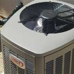 Keeping Your Cool: How Bug Extermination In Henderson Enhances HVAC Efficiency