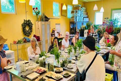 The Growing Cafe Culture in Sonoma County, California