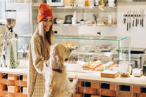 Exploring Dog-Friendly Cafes in Sonoma County