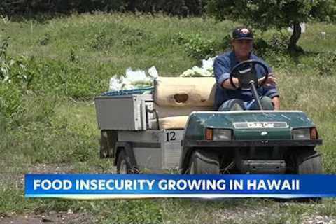 Hawaii families struggle as agriculture cuts raise food costs