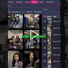Uncover TikTok’s Top Creators in Seconds! #shorts #TikTokTips